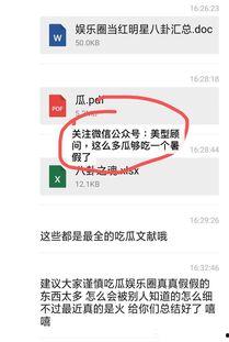 娱乐圈吃瓜pdf文件,PDF文件深度解析  第1张