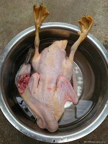 做鸭货的鸭子爆料视频大全